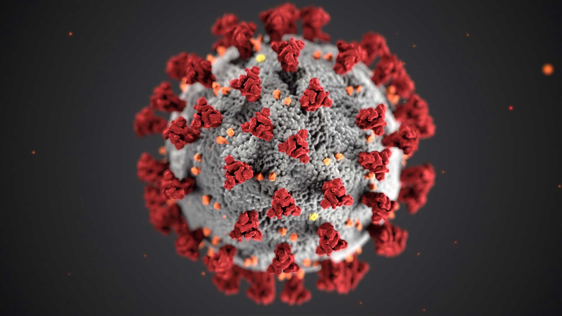 Praktikum vs. Coronavirus